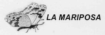 LA MARIPOSA