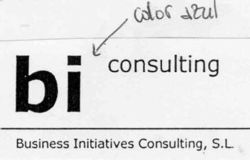 BI CONSULTING BUSINESS INITIATIVES CONSULTING, S.L