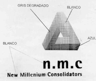 N.M.C NEW MILLENIUM CONSOLIDATORS