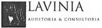LAVINIA AUDITORIA & CONSULTORIA