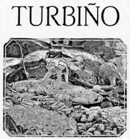 TURBIÑO
