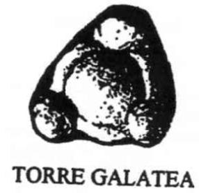 TORRE GALATEA
