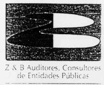ZB Z & B AUDITORES, CONSULTORES DE ENTIDADES PUBLICAS