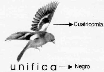 UNIFICA