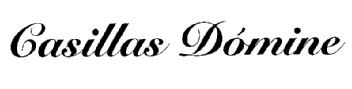 CASILLAS DOMINE