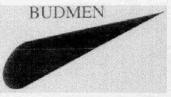 BUDMEN
