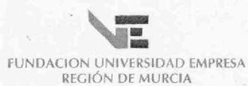 FUE FUNDACION UNIVERSIDAD EMPRESA REGION DE MURCIA