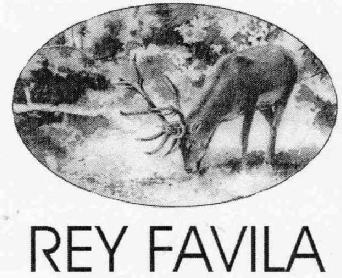 REY FAVILA