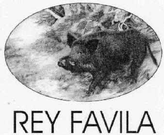 REY FAVILA