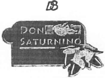 DS DON SATURNINO