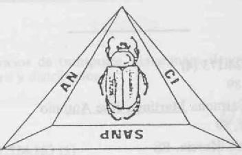 AN CI SANP