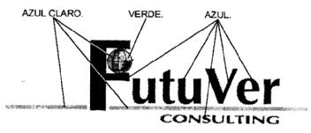 FUTUVER CONSULTING