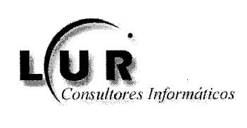 LUR CONSULTORES INFORMATICOS