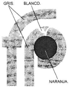 FP