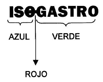 ISOGASTRO