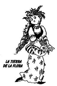 LA TIERRA DE LA FLORA