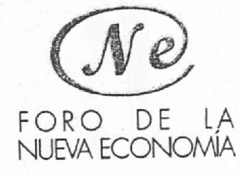 NE FORO DE LA NUEVA ECONOMIA