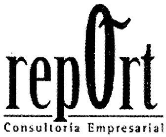 REPORT CONSULTORIA EMPRESARIAL