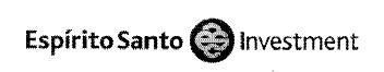 ESPIRITO SANTO INVESTMENT