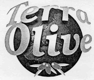 TERRA OLIVE