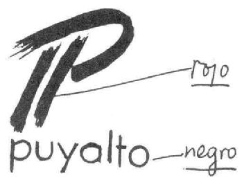 P PUYALTO