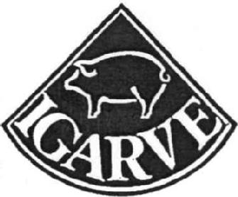 IGARVE