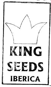 KING SEEDS IBERICA