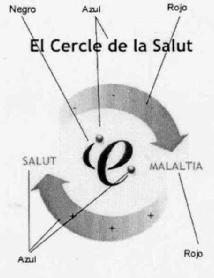 EL CERCLE DE LA SALUT SALUT E MALALTIA