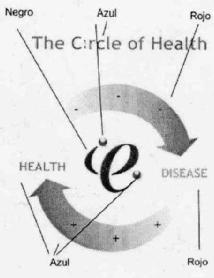 THE CIRCLE OF HEALTH HEALTH E DISEASE