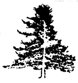 M2421549(X)