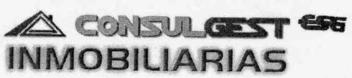 CONSULGEST INMOBILIARIAS CSG