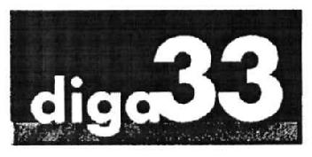 DIGA 33