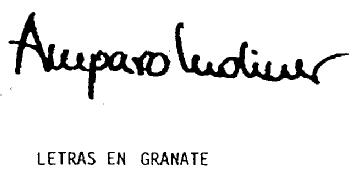 AMPARO MOLINER