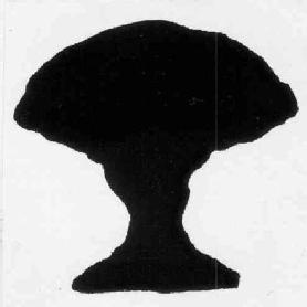 M2278978