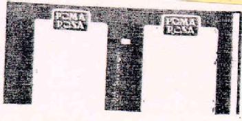 RAMA ROSA