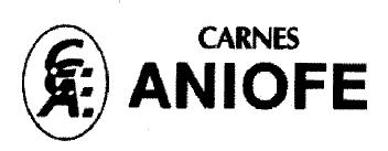 CARNES ANIOFE