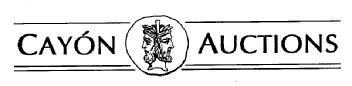 CAYON AUCTIONS