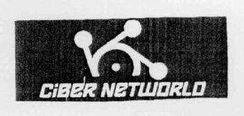 CIBER NETWORLD