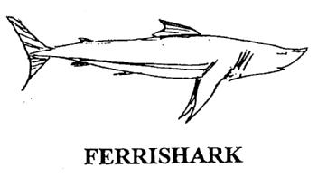 FERRISHARK