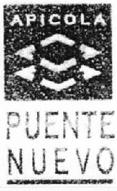 APICOLA PUENTE NUEVO