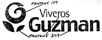 VIVEROS GUZMAN