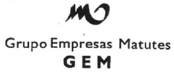 GRUPO EMPRESAS MATUTES GEM
