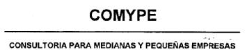 COMYPE CONSULTORIA PARA MEDIANAS Y PEQUEÑAS EMPRESAS