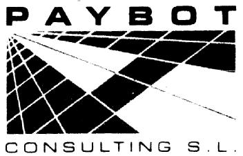 PAYBOT CONSULTING S.L