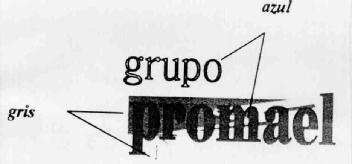 GRUPO PROMAEL