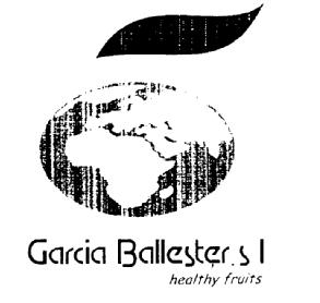 GARCIA BALLESTER S.L. HEALTHY FRUITS