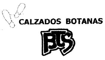 CALZADOS BOTANAS BTS