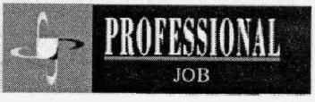 PROFESSIONAL JOB