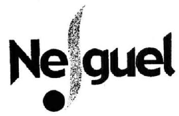 NESGUEL