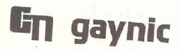 GIN GAYNIC